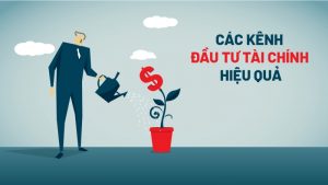 Nên đầu tư vào gì để sinh lời trong năm 2022?