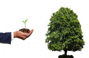 3 Kinh nghiệm đầu tư chứng khoán dài hạn hiệu quả