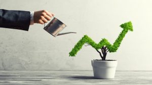 Chứng chỉ quỹ là gì? Tổng hợp thông tin về chứng chỉ quỹ
