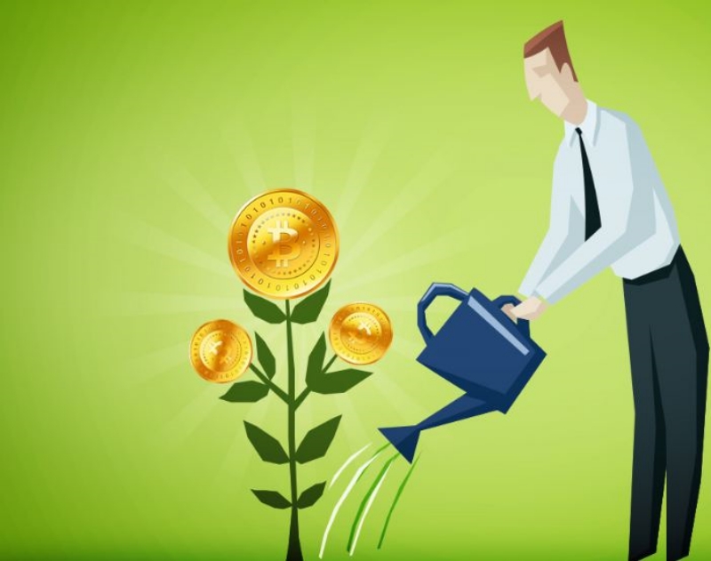 Đầu tư tiền ảo hiệu quả cho người mới bắt đầu