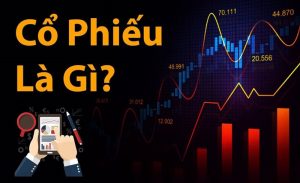 Đừng bỏ lỡ cách phân biệt cổ phiếu sau đây