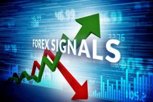 Forex Signal là gì? Tín hiệu Forex có quan trọng không?