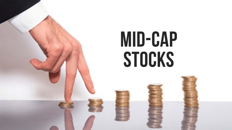 Cổ phiếu Midcap là gì? Cách chọn cổ phiếu Midcap phù hợp