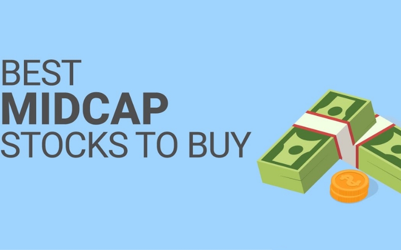 Cổ phiếu Midcap là gì? Cách chọn cổ phiếu Midcap phù hợp