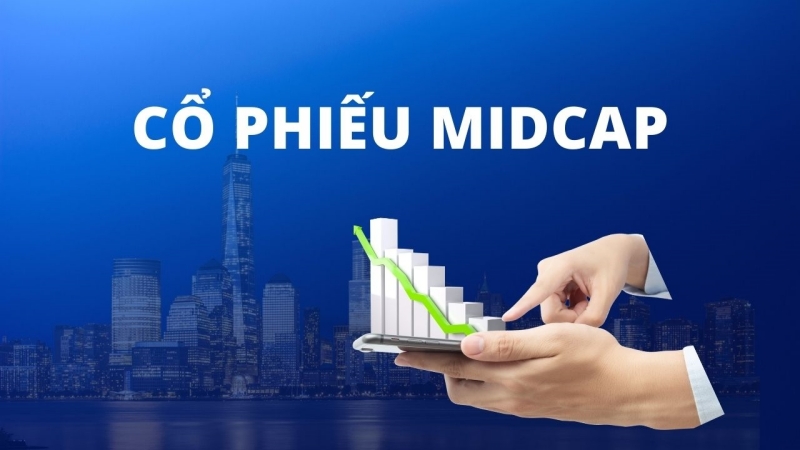 Cổ phiếu Midcap là gì? Cách chọn cổ phiếu Midcap phù hợp