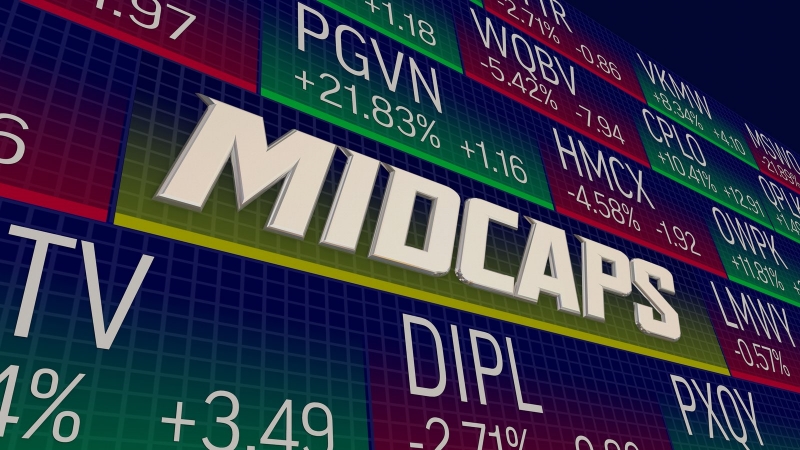 Cổ phiếu Midcap là gì? Cách chọn cổ phiếu Midcap phù hợp