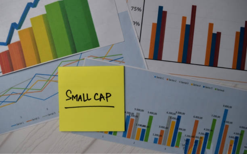 Cổ phiếu Small cap là gì? Có nên đầu tư vào cổ phiếu Small cap?