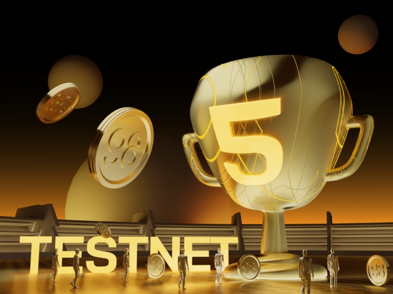 Testnet là gì? Tầm quan trọng của Testnet