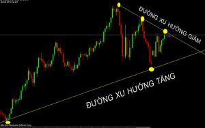 Trend Following là gì? Các loại giao dịch theo xu hướng