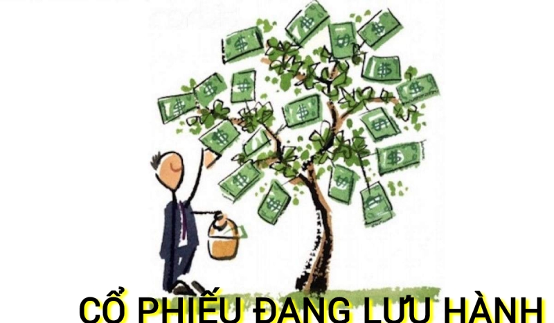 Cổ phiếu đang lưu hành là gì? Cách tính số cổ phiếu đang lưu hành chính xác nhất