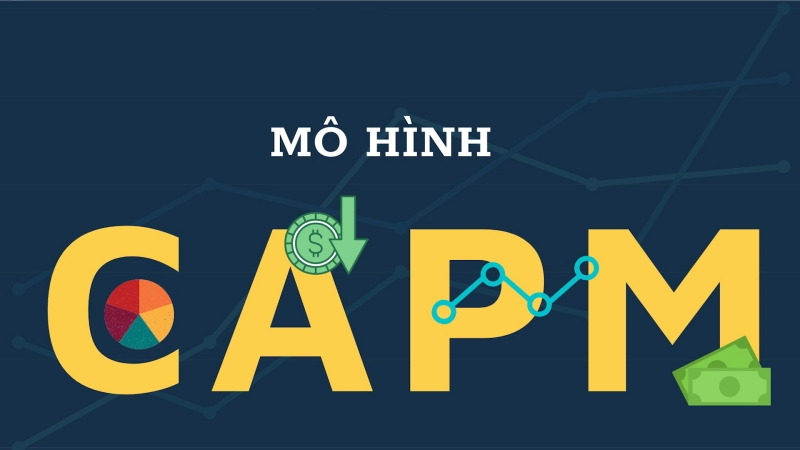 Mô hình CAPM là gì? Ứng dụng mô hình CAPM trong chứng khoán