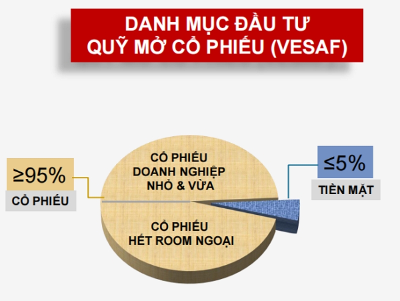 Năm 2022 nhà đầu tư nên mua chứng chỉ quỹ nào?