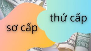 Thị trường chứng khoán sơ cấp và thứ cấp là gì?
