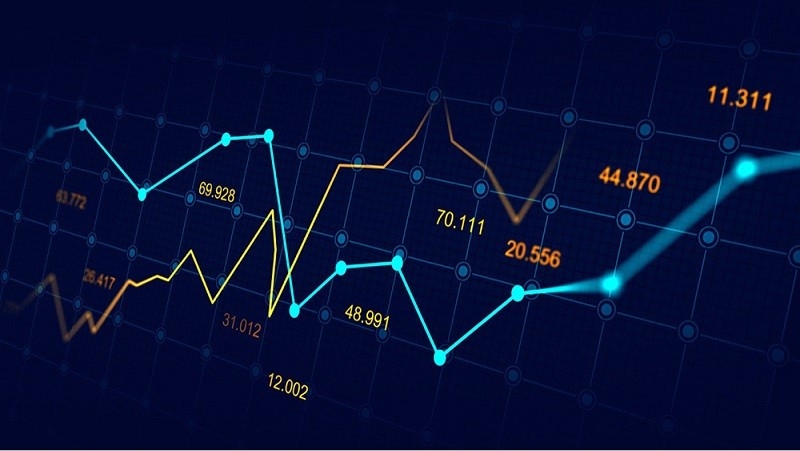 Cá mập chứng khoán là gì? Cách tránh “cá mập xấu” trên thị trường chứng khoán