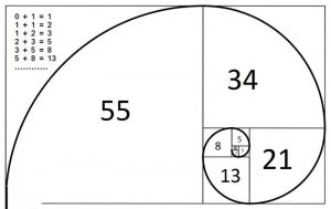 Fibonacci là gì? Cần lưu ý gì khi phân tích chỉ báo Fibonacci?