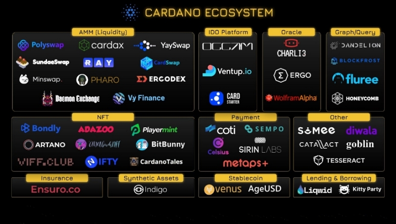 Hệ sinh thái trong Crypto là gì? Cơ hội đầu tư ở các hệ sinh thái